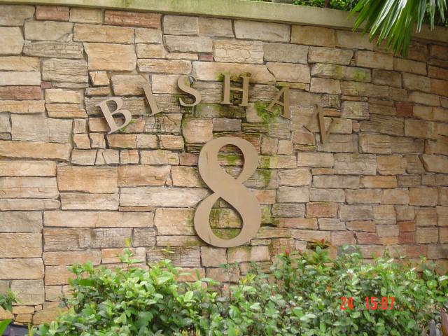 Bishan 8a