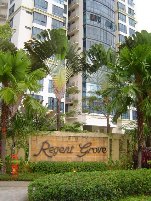 REGENT GROVE